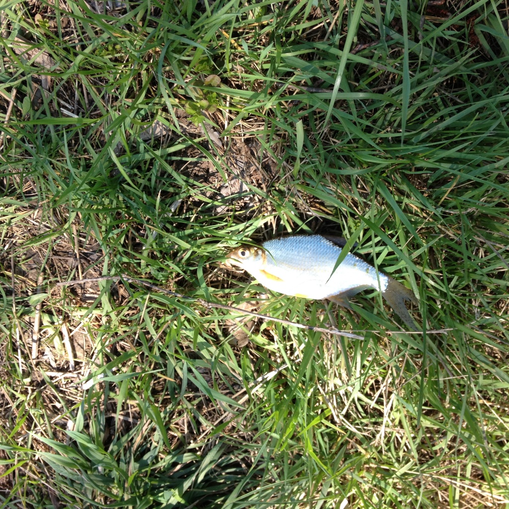 14 03.05.2014.JPG