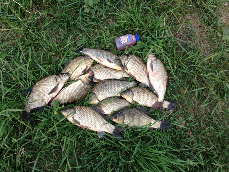 13 28.05.2014.JPG