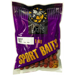Бойлы тонущие спортивные Lion Baits Компот 20 мм 1 кг