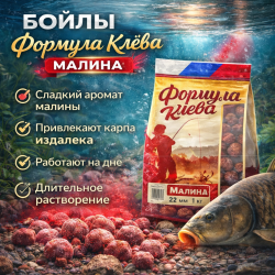 Бойлы тонущие Формула Клева Малина 22 мм 1 кг