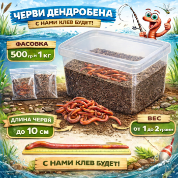 Червь Дендробена 1 кг